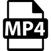 MP4 02.jpg
